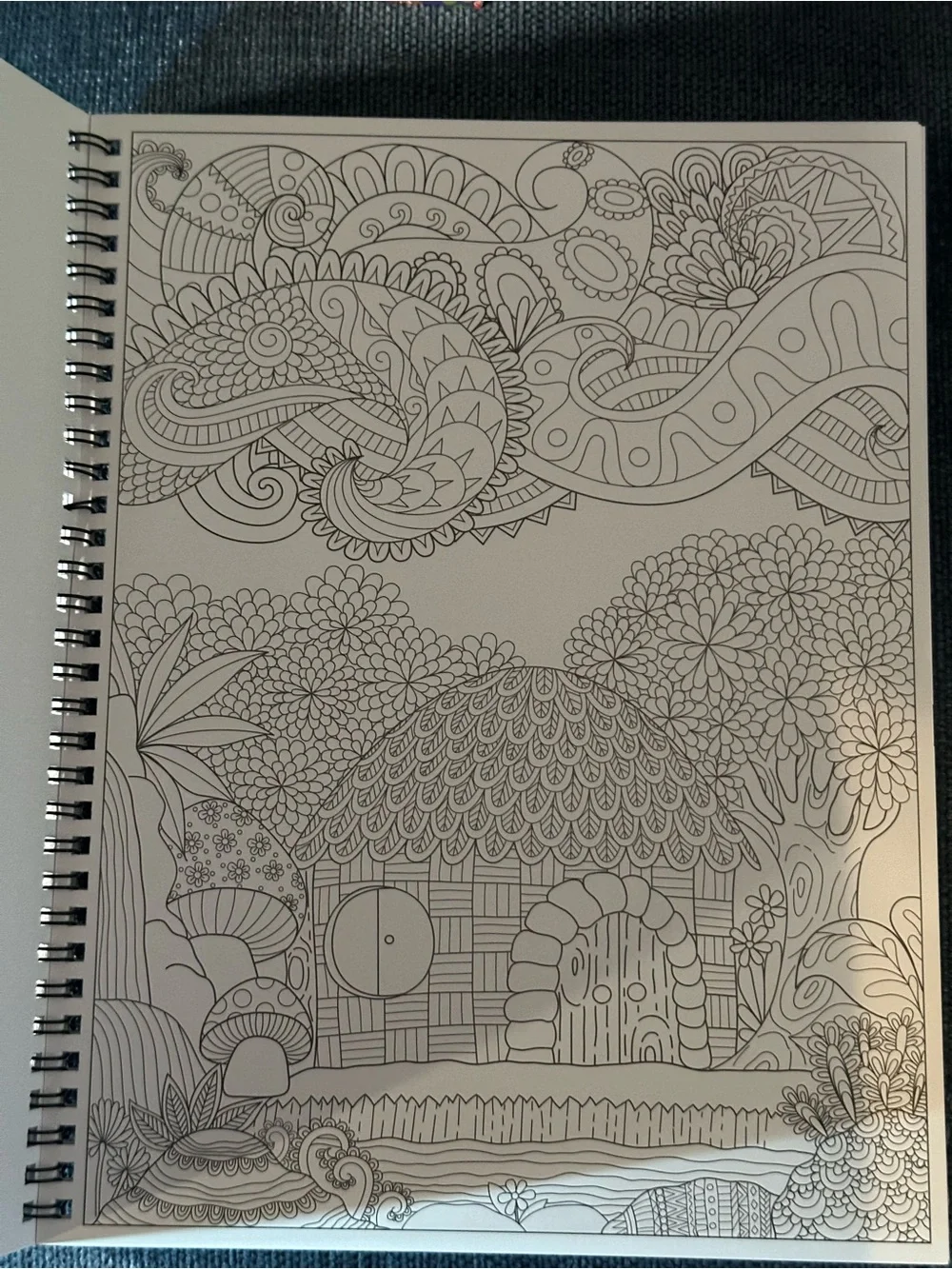Kalysky Adult Coloring Books Set of 3 spiral bound Coloring Books. PRICE FIRM
